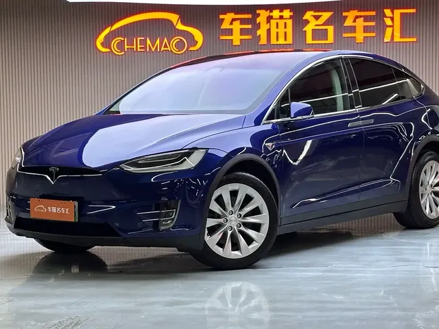 Tesla Model X 2017 Model X 100D Long Range