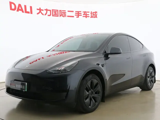 Tesla Model Y 2024 Rear-Wheel Drive Version