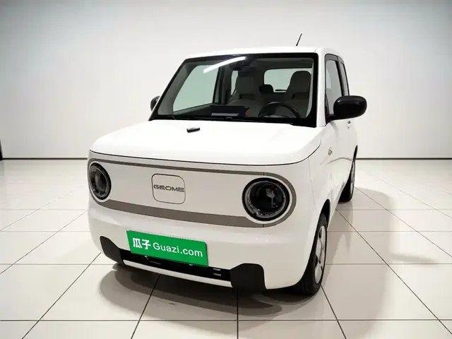 Geely Galaxy Panda 2023 Panda Mini 200km Endurance Bear