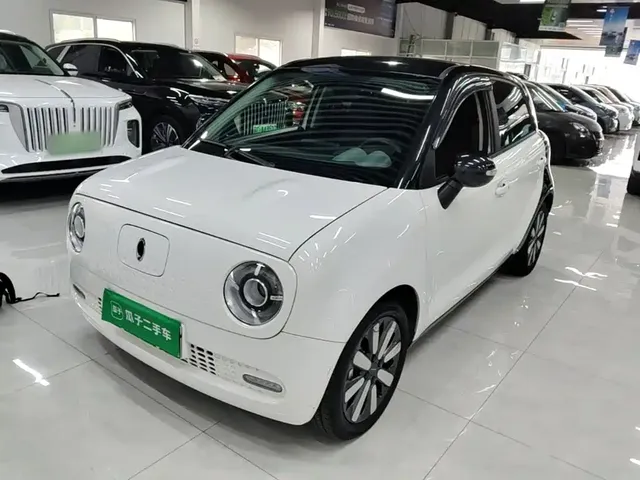 Ora Black Cat 2021 351km Standard Model
