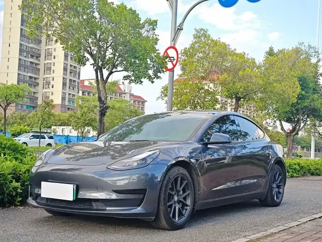 Tesla Model 3 2022 Model Rear-Wheel Drive Version
