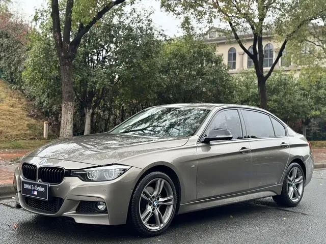 BMW 3 Series 2019 320Li M Sport Black Night Edition