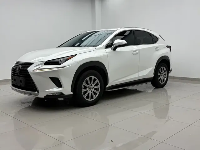 Lexus NX 2020 200 AWD F Sport China V