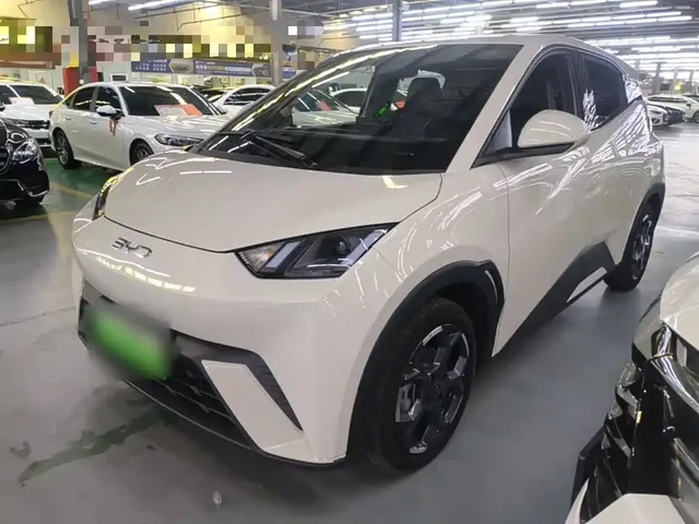 BYD Seagull 2024 Glory Edition 305km Vitality Edition