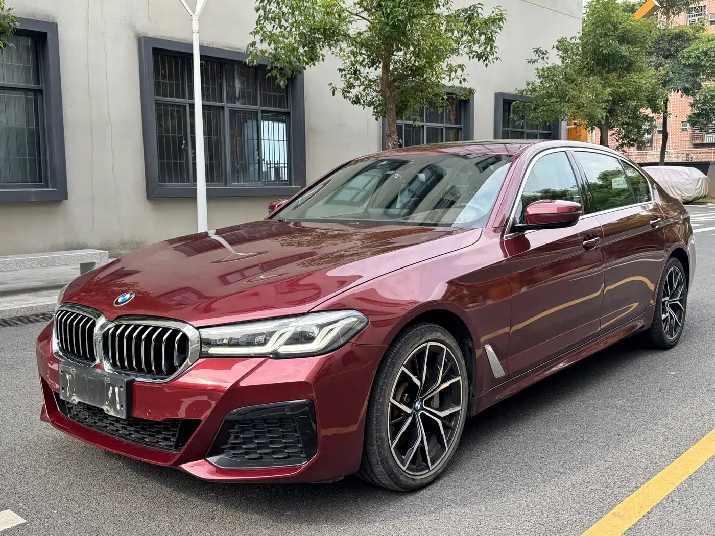 BMW 5 Series 2021 530Li Leading Luxury Package