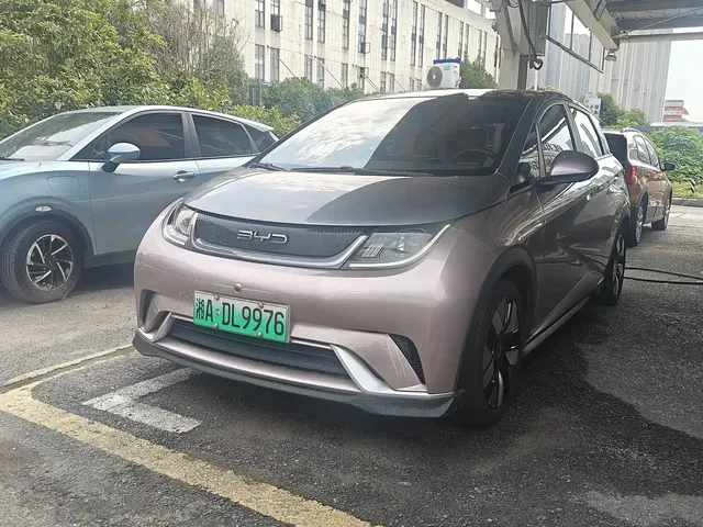 BYD Dolphin 2021 401km Knight Edition