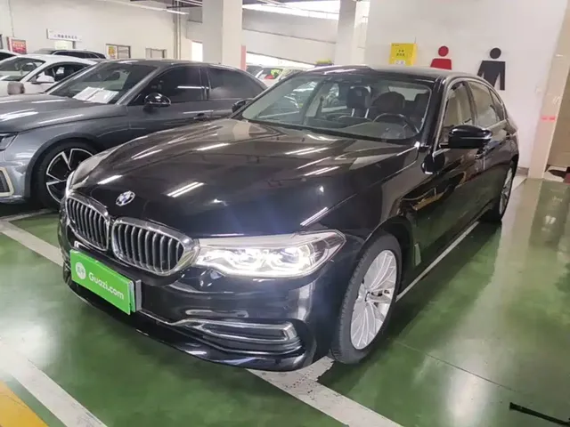 BMW 5 Series New Energy 2020 530Le Range Upgrade Luxury Package