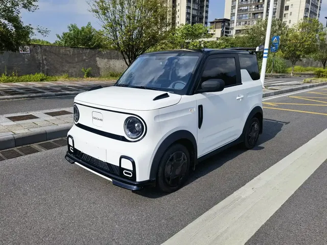 Geely Galaxy Panda 2025 Model Year 210km Panda Kart