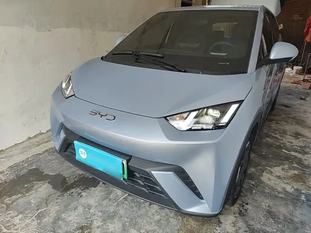 BYD Seagull 2024 Glory Edition 305km Freedom Edition