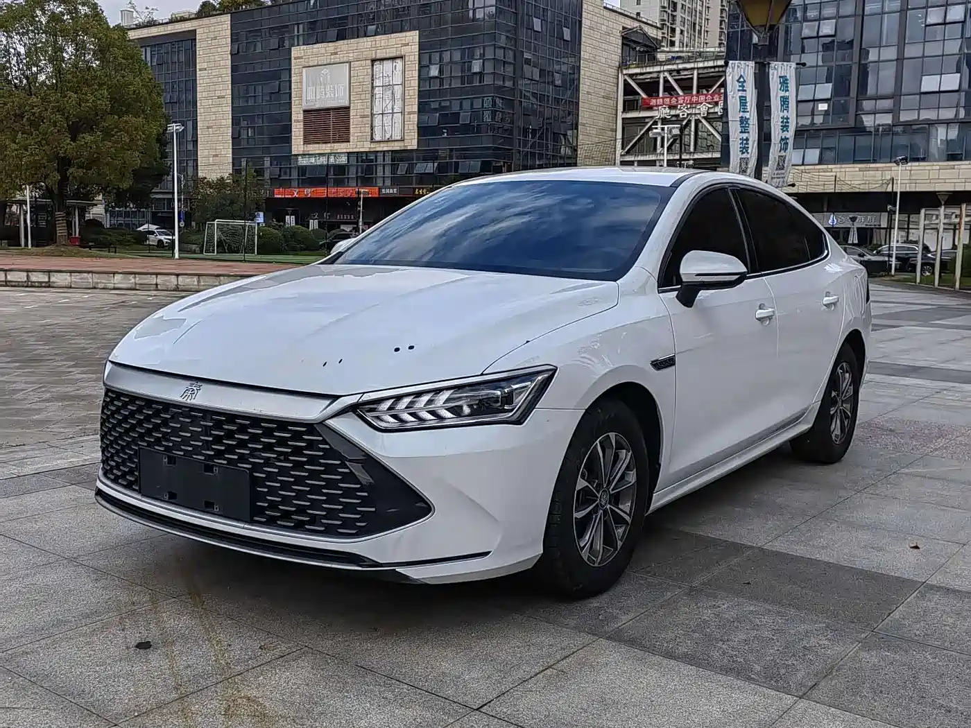 BYD Qin PLUS 2023 Champion Edition DM-i 55KM Leading