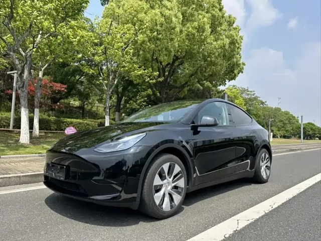 Tesla Model Y 2022 Rear-Wheel Drive Version