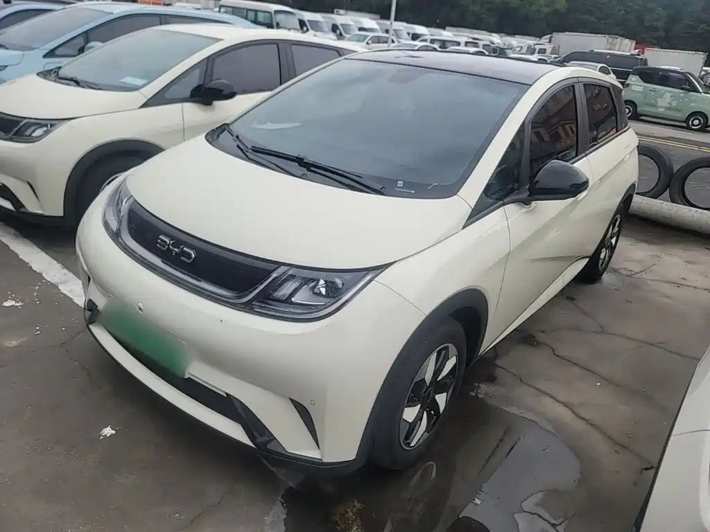 BYD Dolphin 2024 Glory Edition 420km Fashion Edition