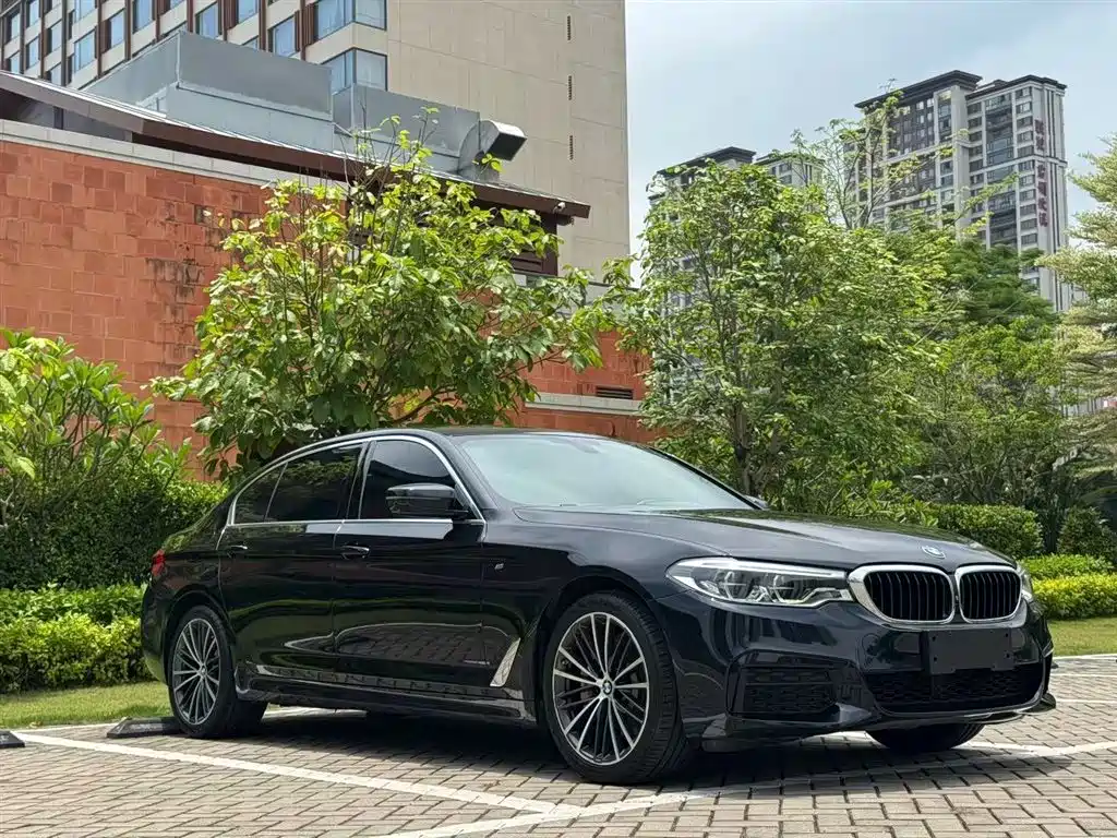 BMW 5 Series 2020 530Li Exclusive M Sport Package