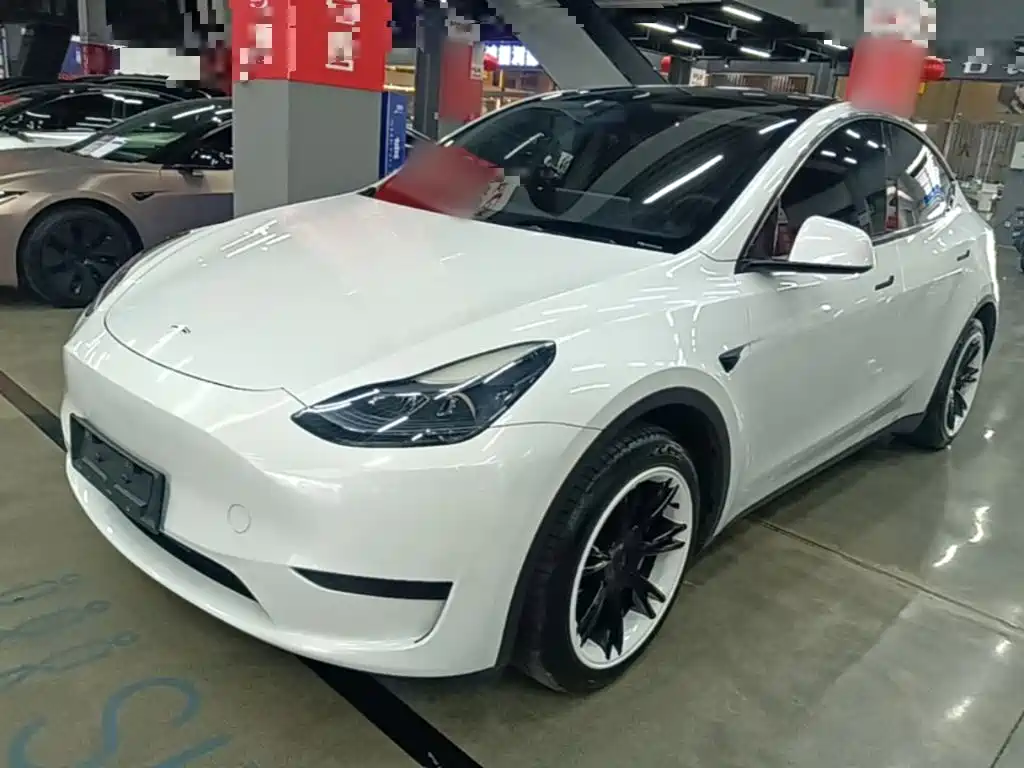 Tesla Model Y 2024 Rear-Wheel Drive Version
