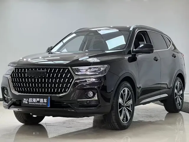 Haval H6 2023 National Trend Edition 1.5T Automatic Champion