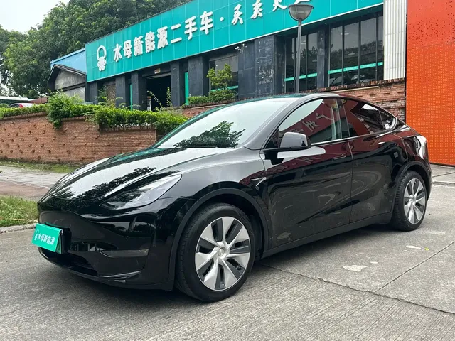 Tesla Model Y 2021 Standard Range Rear-Wheel Drive