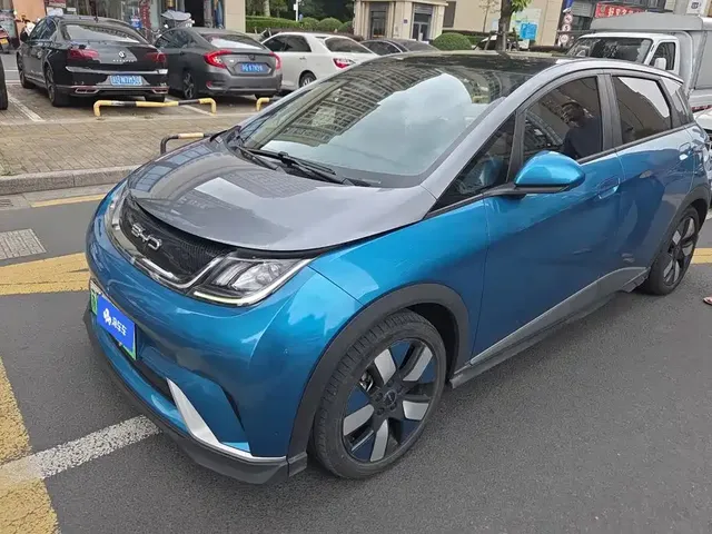 BYD Dolphin 2021 401km Knight Edition