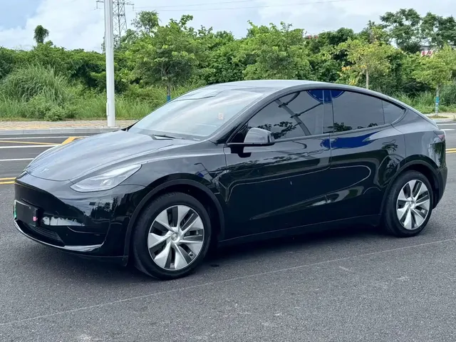 Tesla Model Y 2022 Rear-Wheel Drive Version