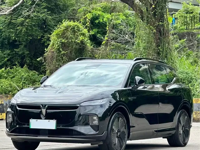 Voyah Auto Voyah Zhiyin 2024 Long Range Super Charging Edition