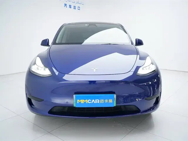 Tesla Model Y 2023 Rear-Wheel Drive Edition