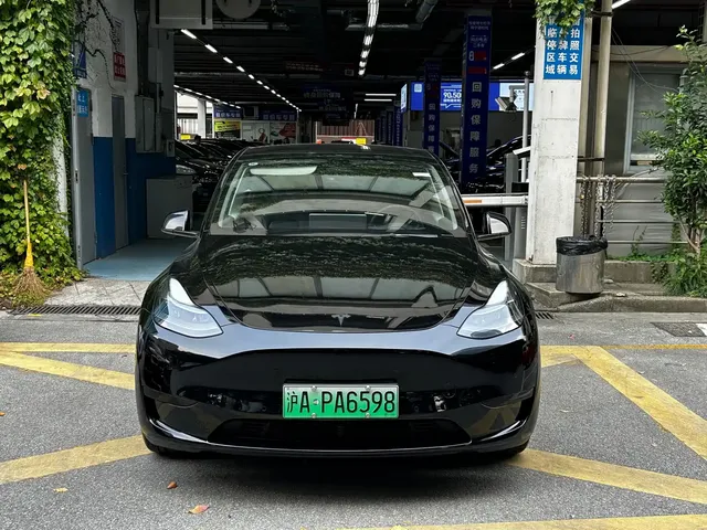 Tesla Model Y 2022 Rear-Wheel Drive Version