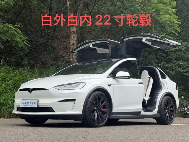 Tesla Model X 2023 Tri-motor AWD Plaid