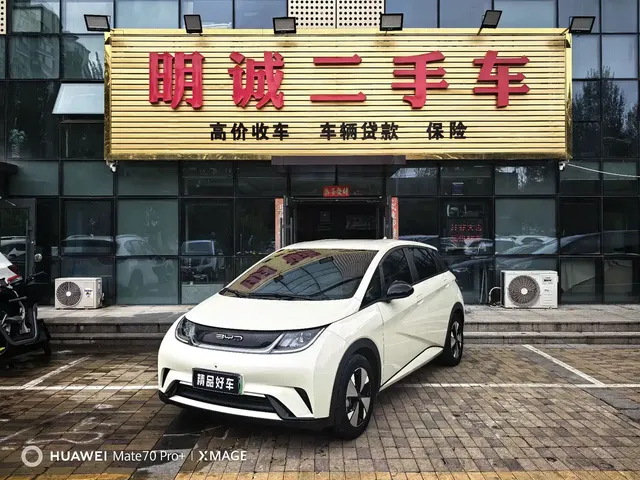 BYD Dolphin 2023 420km Freedom Edition