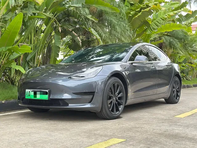 Tesla Model 3 2019 Standard Range Rear-Wheel Drive Upgrade