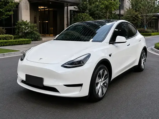 Tesla Model Y 2022 Rear-Wheel Drive Version