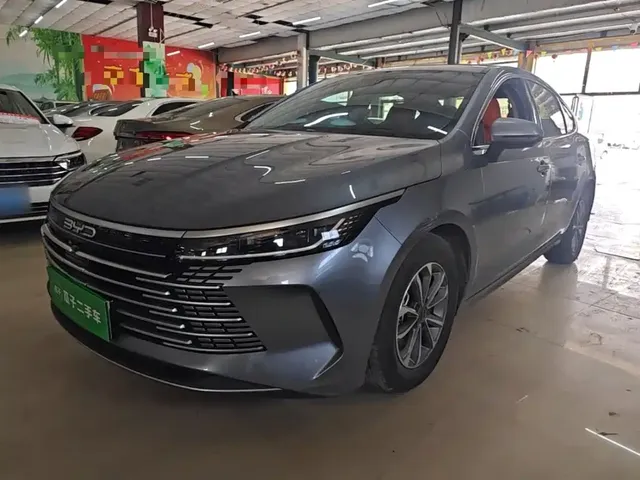 BYD Destroyer 05 2024 Glory Edition DM-i 55KM Luxury