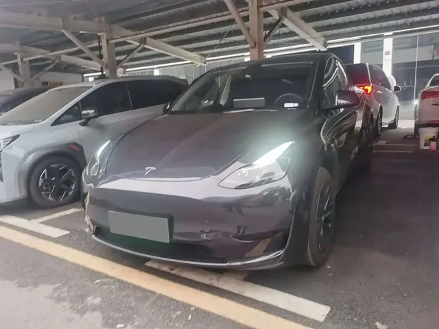 Tesla Model Y 2024 Rear-Wheel Drive Version