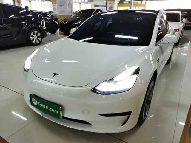 Tesla Model 3 2020 Standard Range Rear-Wheel Drive Upgrade