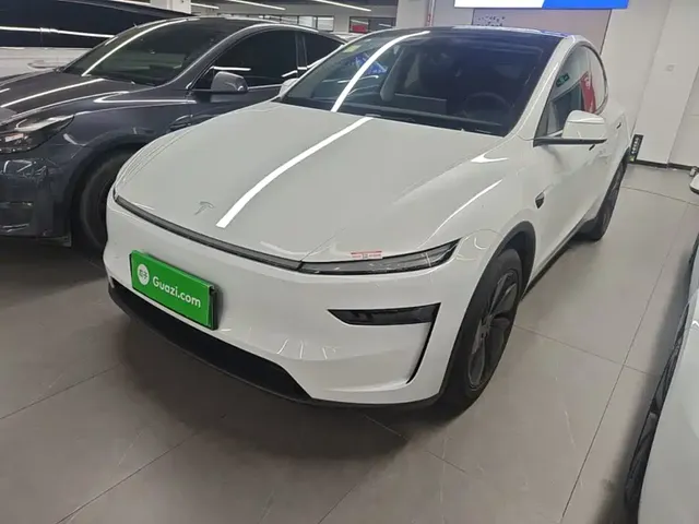 Tesla Model Y 2025 Long Range All-Wheel Drive