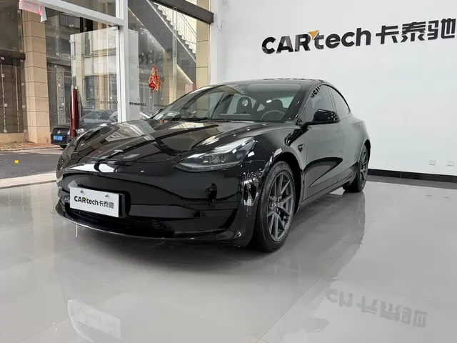 Tesla Model 3 2021 Standard Range Rear-Wheel Drive Upgrade 3D6