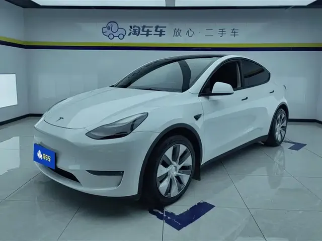 Tesla Model Y 2022 Rear-Wheel Drive Version