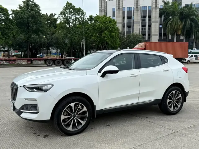 Haval F5 2019 National Trend Edition 1.5T iTrend China VI