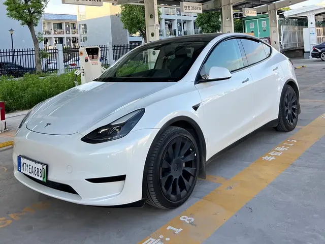 Tesla Model Y 2022 Rear-Wheel Drive Version