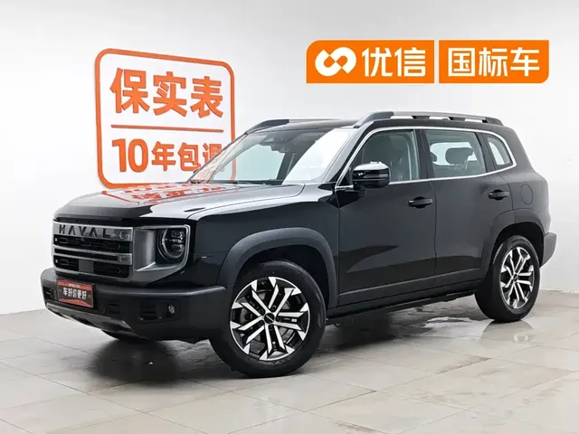 Haval Big Dog 2024 1.5T DCT Border Collie Edition