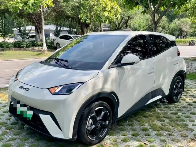 BYD Seagull 2024 Glory Edition 305km Freedom Edition
