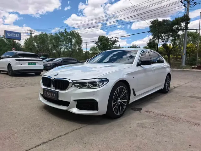 BMW 5 Series 2020 530Li Leading M Sport Package