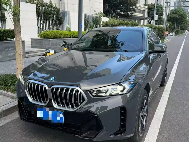 BMW X6 2023 xDrive40i Premium M Sport Package