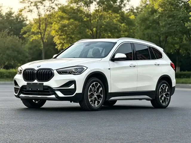 BMW X1 2020 sDrive20Li Premium Edition