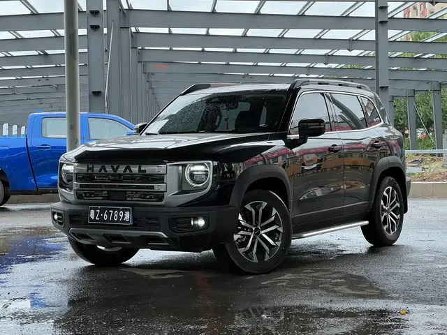 Haval Big Dog 2024 1.5T DCT Border Collie Edition