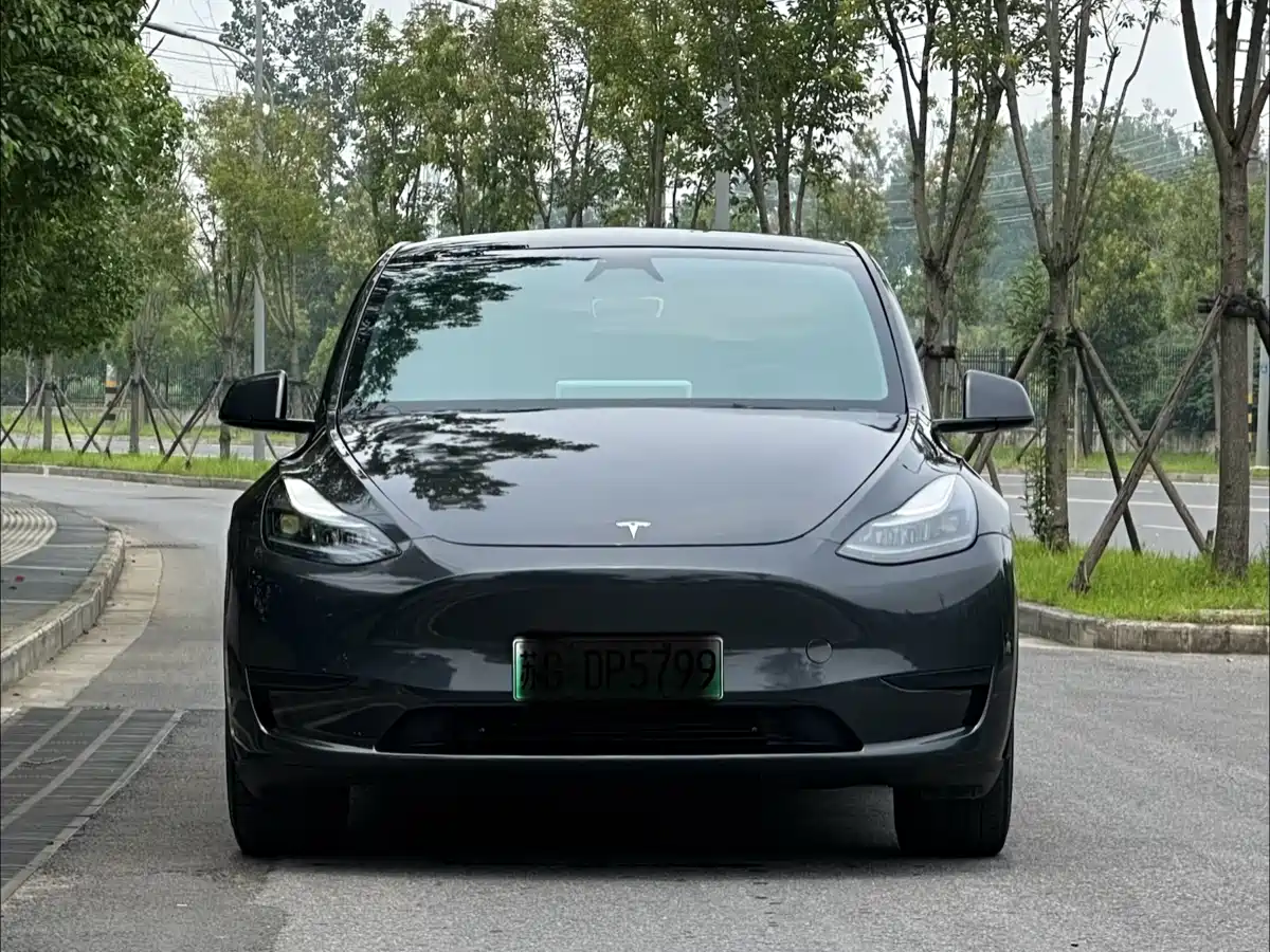Tesla Model Y 2024 Rear-Wheel Drive Version