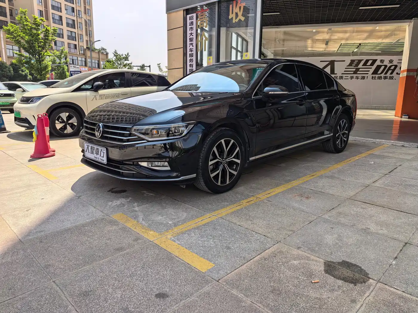 Volkswagen Magotan 2021 330TSI DSG 30th Anniversary Edition
