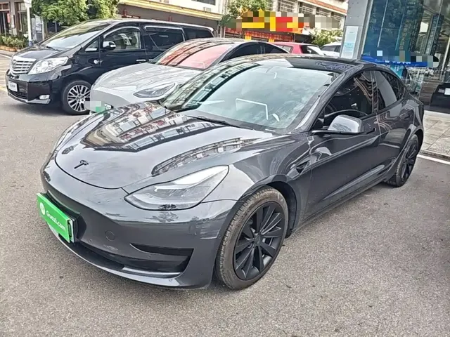 Tesla Model 3 2021 Standard Range Rear-Wheel Drive Upgrade 3D6