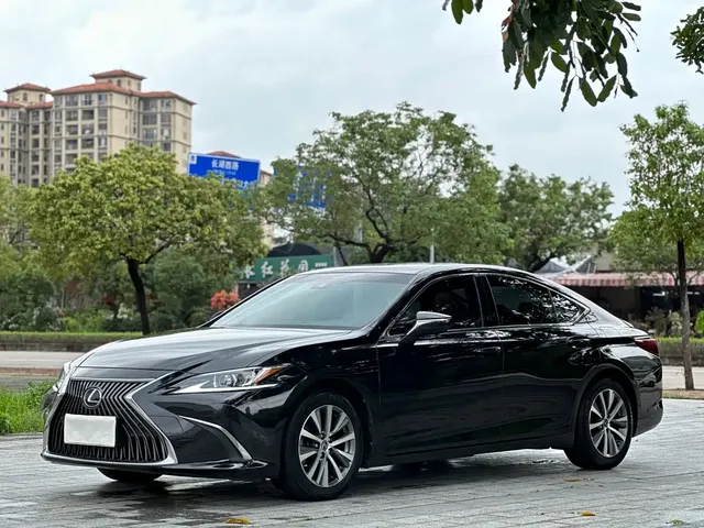 Lexus ES 2018 200 Luxury Edition China V