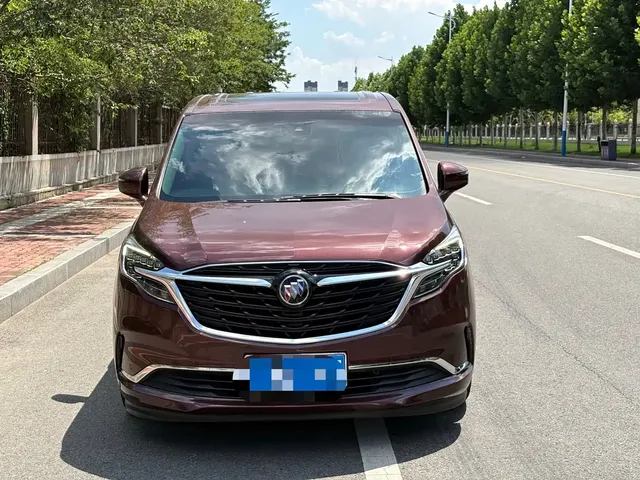 Buick GL8 2022 ES Landmark 653T Premium