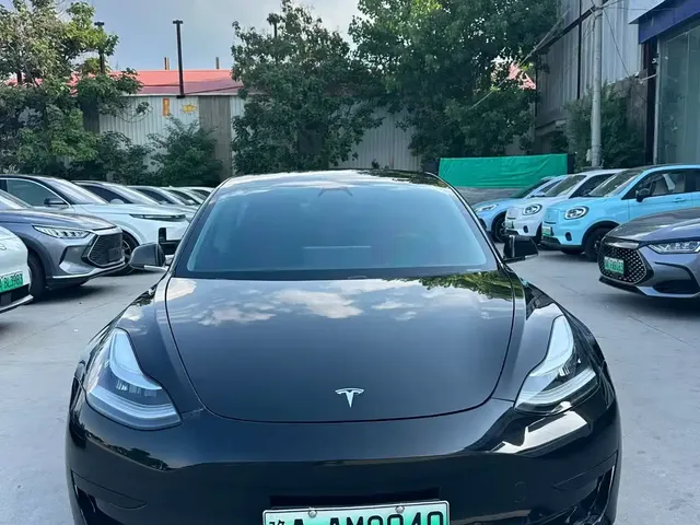 Tesla Model 3 2020 Standard Range Rear-Wheel Drive Upgrade