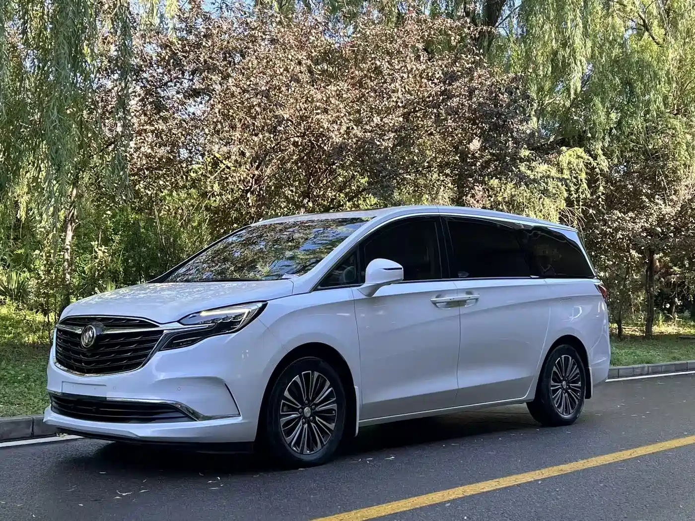 Buick GL8 2021 ES Landlord 653T Luxury
